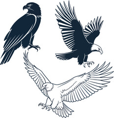 Obraz premium Eagle vector illustration set various poses bald eagle silhouette design eps