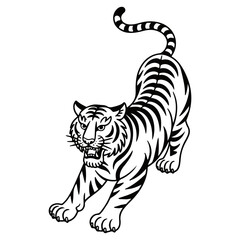 Tiger Asian tatoo style line drawing vector illustration