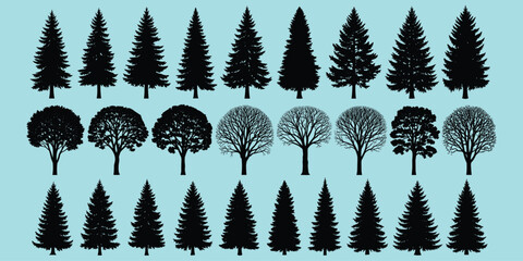 Tree silhouette collection, coniferous and deciduous trees, forest shapes, botanical elements, nature icons, landscape design, flat vector illustration © salema khatun