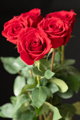 A vertical close-up of a vibrant three-rose bouquet against a dramatic black background. Symbolizes love, passion, and romance. Perfect for cards and celebrations.