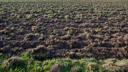 A field of dirt with some grass in it