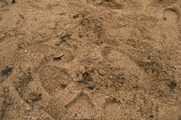 A sandy area with a lot of dirt and rocks