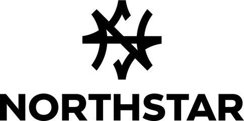 simple black NS northern star or north star navigation nautical vector icon logo design