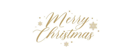 Text Christmas Blessings hand written calligraphy lettering. handmade vector illustration. Fun brush ink typography for photo overlays, t-shirt print, flyer, poster design