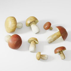 mushrooms on a white background