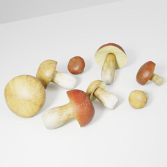 mushrooms on a white background