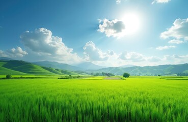 Obraz premium Scenic rice paddy with green terraces under bright sky and clouds. Agriculture field and mountain panorama landscape. Plantations in Asia with fertile farmland, fresh crops and bright sunshine.