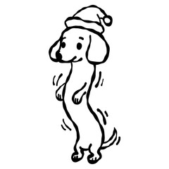 Cute dachshund standing tall in a santa hat doing an adorable happy holiday pose full of playful energy and cozy Christmas spirit