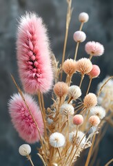 cactus flower in bloom