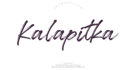 Signature Font Calligraphy Logotype Script Brush Font Type Font lettering handwritten