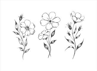 Hand-Drawn Summer Vacation Doodle Collection: Beach, Windsurfing, Sailing, Palm Trees, and Sun Icons for Tropical Holiday and Water Sport Graphics.