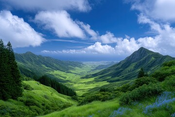 Fototapeta premium Mountain Valley Panorama: A stunning landscape unfolds, showcasing a vibrant green valley cradled by towering mountains under a dynamic sky filled with fluffy clouds. Capturing the grandeur of nature