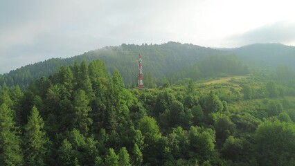 Obraz premium Technology and nature coexist in forest landscape