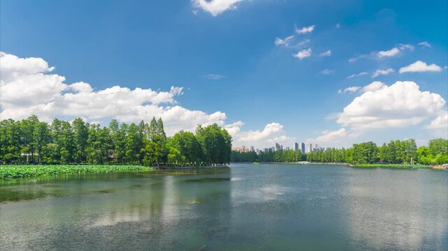 Summer timelapse scenery of Wuhan East Lake Scenic Area