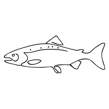 Dibujo de l&iacute;nea continua de salm&oacute;n o trucha 