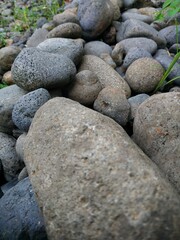 A close-up view of various smooth river stones in natural shades of gray, brown, and blue, creating a textured and organic pattern.