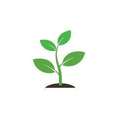 Green Plant silhouette vector icon