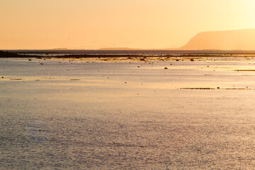 evening mood at the sea in west iceland
