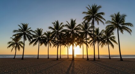 Obraz premium Stunning palm trees at sunset on a serene beach