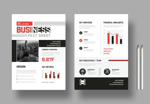 Clean Corporate Fact Sheet Design