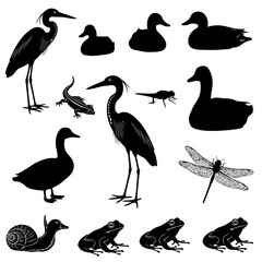 Obraz premium Black silhouettes of various birds, frogs, and a dragonfly isolated on