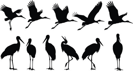 Black stork birds silhouettes set, detailed crane standing and flying poses collection, long legs beak wildlife elements, migratory wetland animals, vector illustration kit