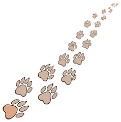 Obraz premium Path of animal footprints on white surface following forward direction