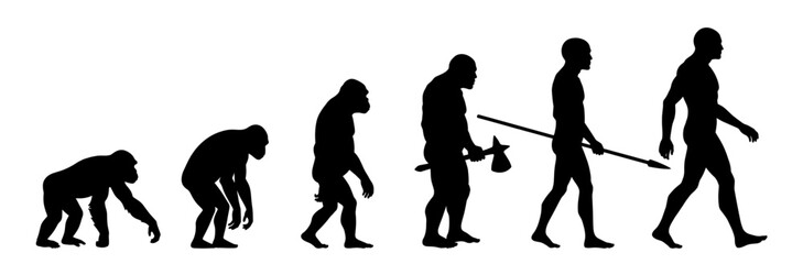 Silhouette sequence illustrating the theory of human evolution from ape to modern man