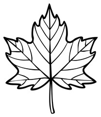 Detailed Line Art of a Maple Leaf Symbolizing Autumn, Fall Season, Forest, Park and Nature, Suitable for Coloring Pages and Educational Materials