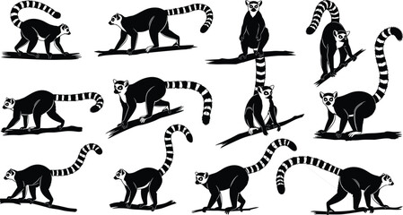 Collection of Ring Tailed Lemur Silhouettes in Various Poses on Branches animal primate © Ambia Art