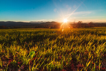 Zachód słońca - Rudawy Janowickie i Karkonosze jesienną porą, widok z Janowice Wielkie, Góry Sokole i Śnieżka © krzys ser