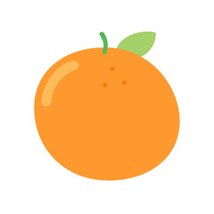 vector illustration of an orange