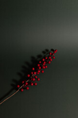 Minimalist still-life of a branch of glossy red berries placed on a dark green background, creating a clean, elegant, and festive holiday aesthetic.