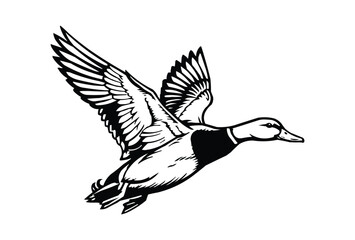 mallard flying duck silhouette, flying duck vector illustration