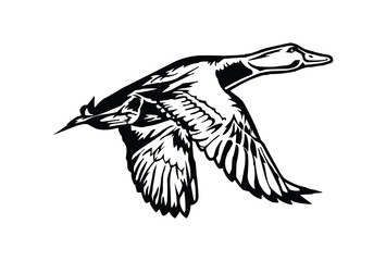 mallard flying duck silhouette, flying duck vector illustration