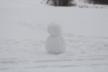 A snowman in the forest in the field.