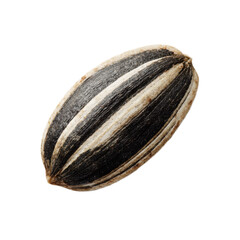 A seed is shown on a white background