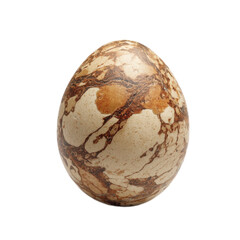 A large egg with brown and white speckles