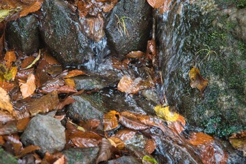氷ノ山　登山の風景
