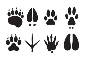 Collection of black animal paw prints and bird footprints on white track