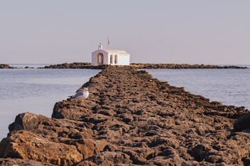 St Nicholas chapel Agios Nikolaos Georgioupolis seagull moment