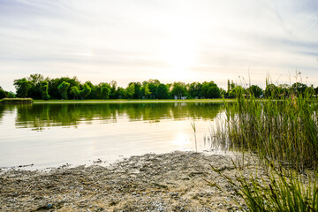 View of the Kranzberger See recreation area in the Amper Valley near Kranzberg. Idyllic nature by the lake.
