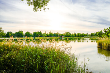 View of the Kranzberger See recreation area in the Amper Valley near Kranzberg. Idyllic nature by the lake.
