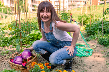 Woman gardening, smiling with a basket of fresh purple eggplants in the vegetable garden