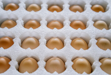 collection fresh white eggs neatly organized in egg box at local market. display highlights farm-fresh quality produce. close up.