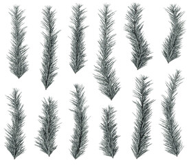 Frosted Pine Branches Set – Winter Evergreen Decoration Pack (Isolated Elements)
