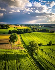 Obraz premium Aerial view of vibrant green fields with sunlight breaking through a dramatic, cloudy sky