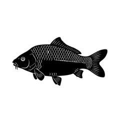 Black silhouette of a carp fish with detailed scales and barbels, swimming left, isolated on a white background.