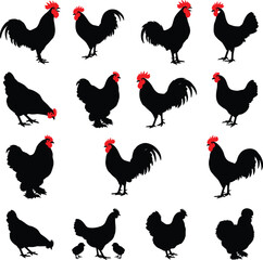 Collection of Twenty Chicken and Rooster Silhouettes with Red Combs in Various Breeds Poses Standing Walking Pecking and Mothering Vector