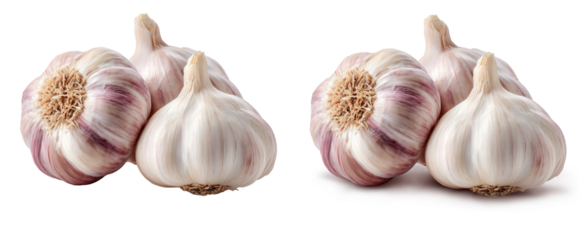 Cabeça de alho  em fundo transparente com e sem sombra projetada.